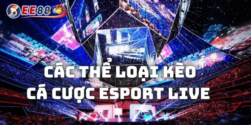 Các thể loại kèo cá cược esport live dễ gặp nhất